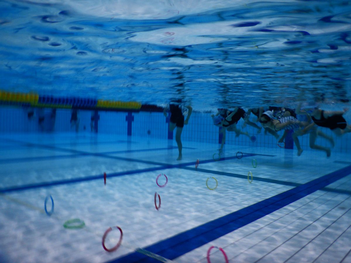 今日の１枚 夏休みちびっこ水泳教室を開催しました にいがたスポーツ情報ナビ